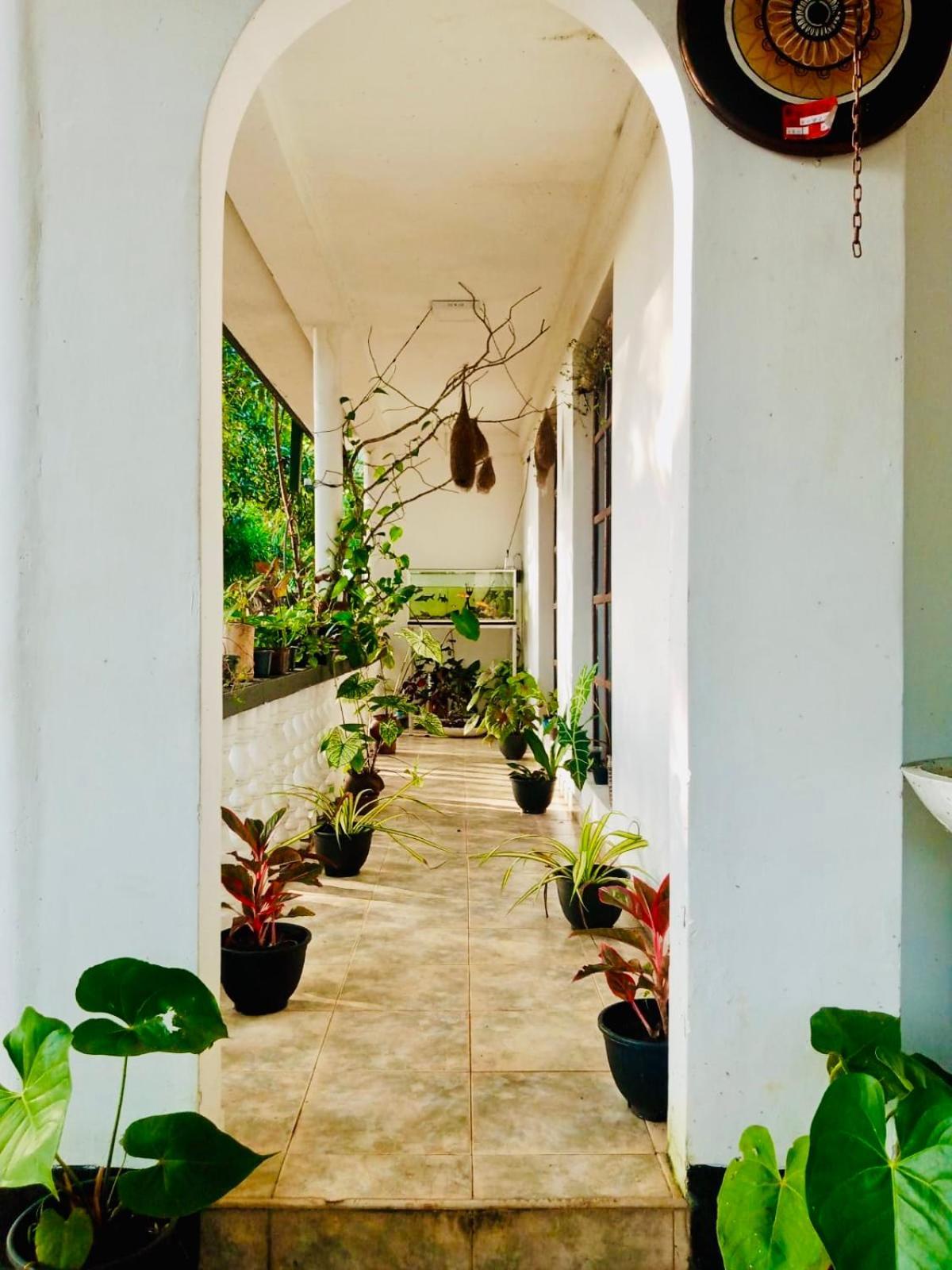 Abhaya Resorts Anuradhapura Exteriör bild
